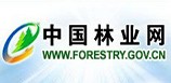中国林业网